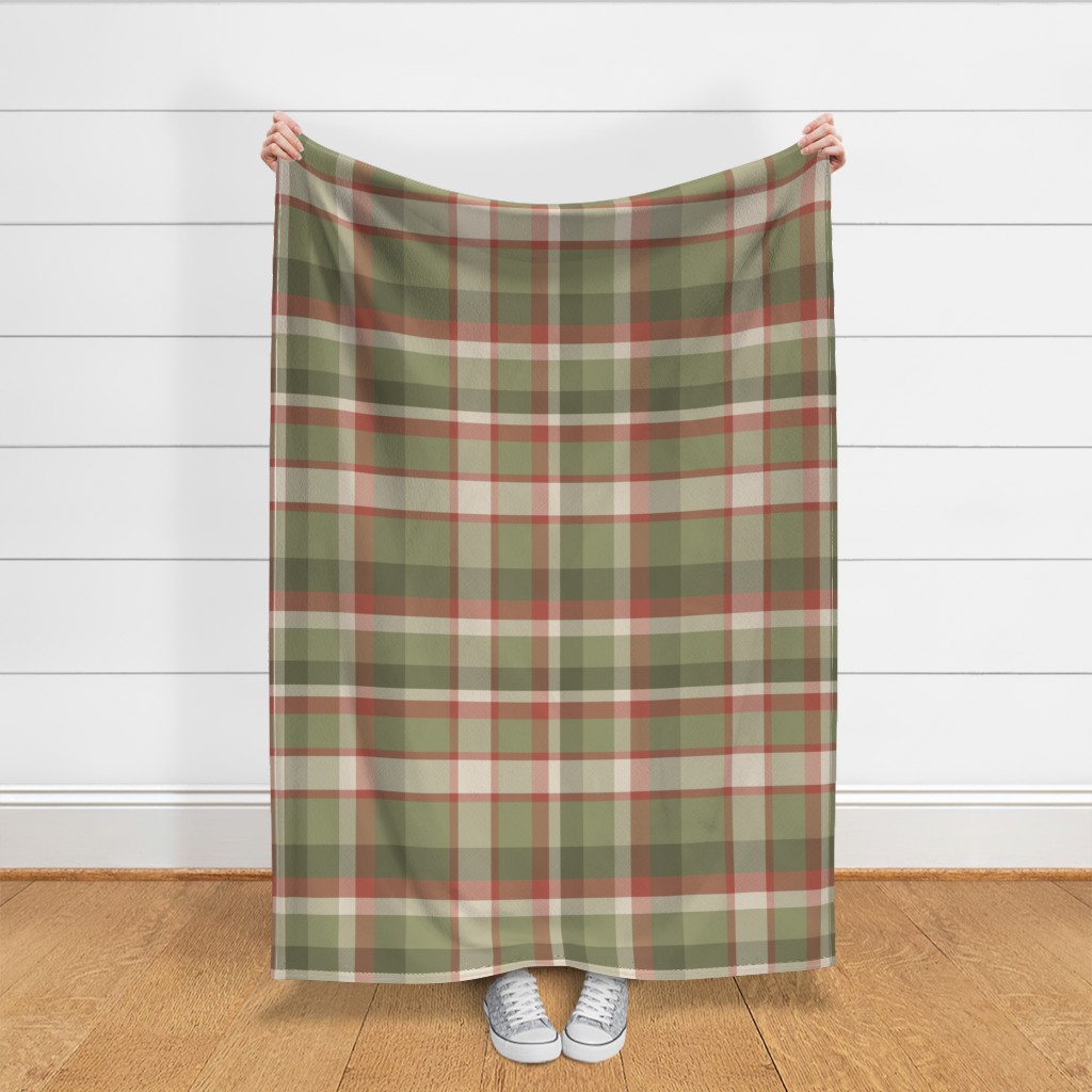 Throw blanket held up in front of a white shiplap wall