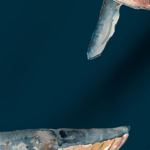 Humpback Whale Large Navy