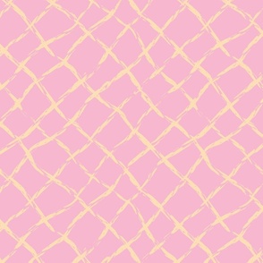 Painted Net