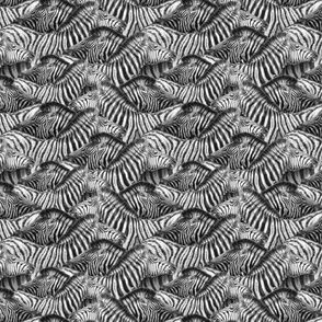 Zebra Love repeat pattern - Small scale by nadyawildlifeart Zebra Love repeat pattern - Small scale