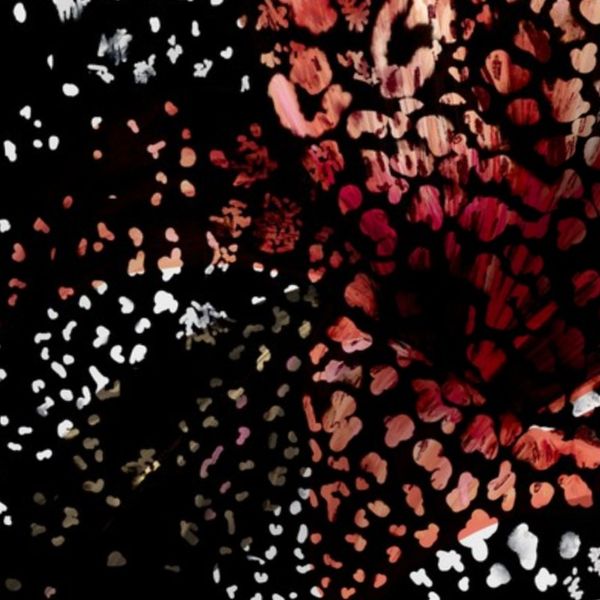 Tiger Lily Animal Print Dark Black