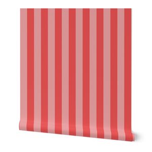 Retro Tonal Stripe - Red and Pink