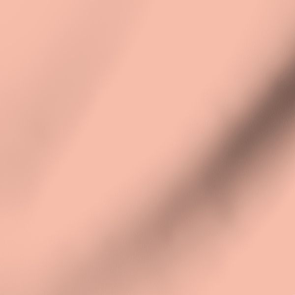 Light Coral Solid - Hex Code f5bdaa