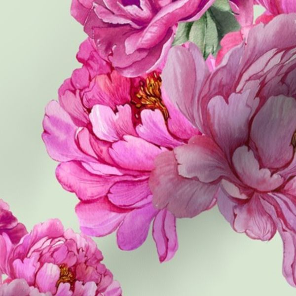 Shabby Chic Hot Pink Peonies on Mint Green