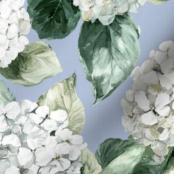 White Cream Hydrangea - Light Blue sky blue
