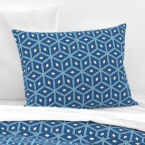 Blue & White Hexagonal Geometric Tile Pattern