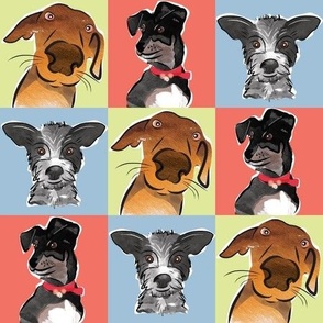Colorful canines small