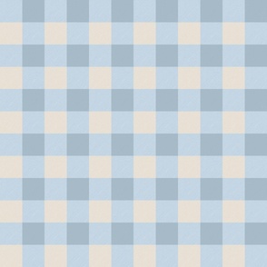 Rustic Textured Small Blue Gingham