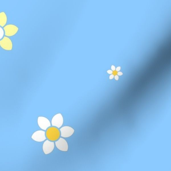 Country Daisies