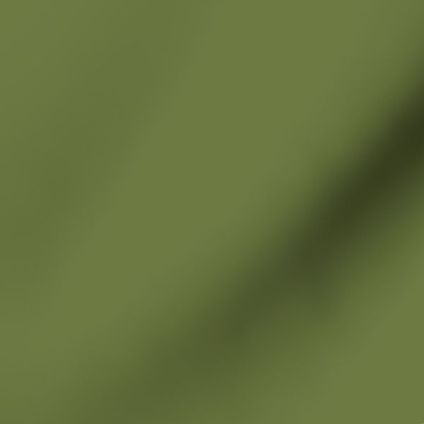 Dark Olive Green Plain Solid Color for Modern Earthy Cottage Walls