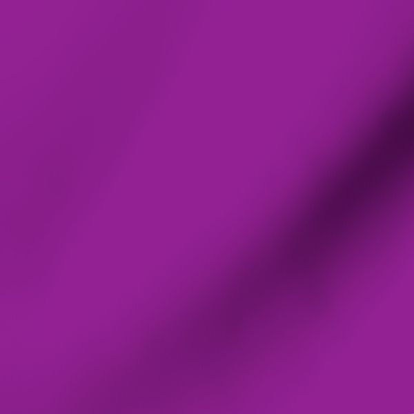 Acai Juice - Vivid Fuchsia Raspberry Solid Coordinate