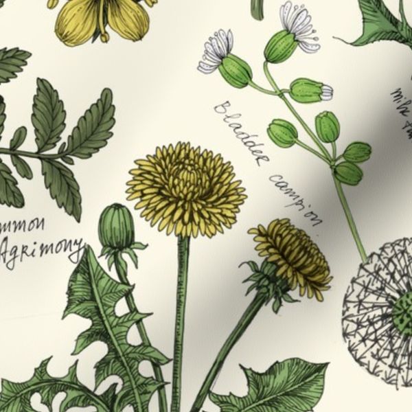 Wildflowers collage on off white/big size