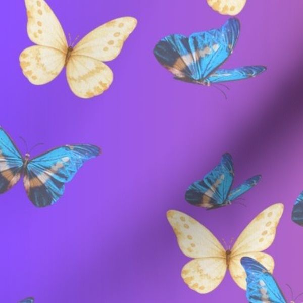 Butterflies at sundown