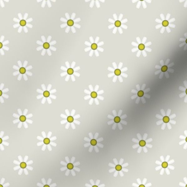 Farmers Market Daisies