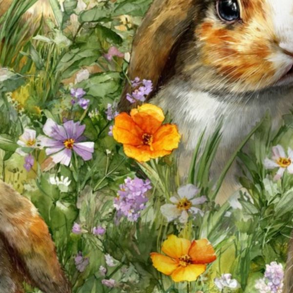 Bunnies in flower field