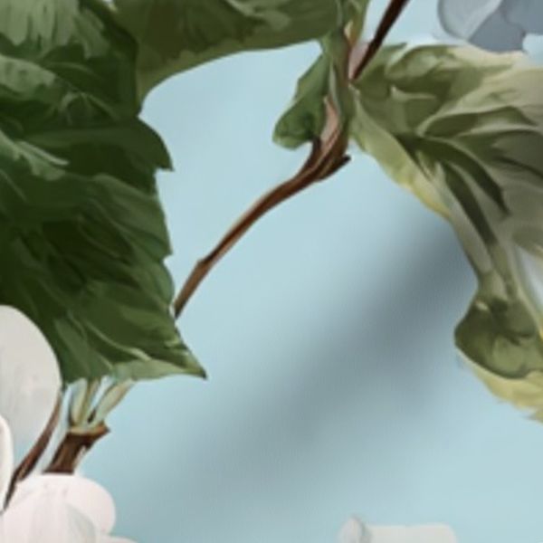 White Hydrangea With Light Blue Background Large Scale