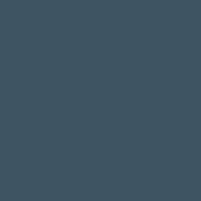 Dark Blue Gray Solid