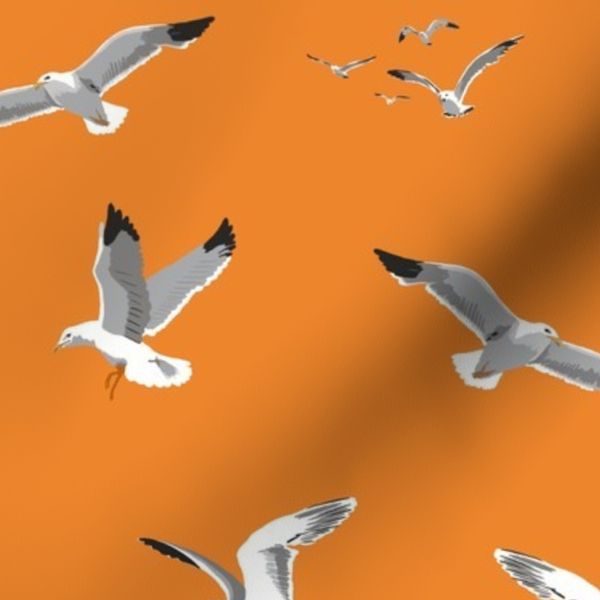 Medium Flying Seagulls on Tangerine