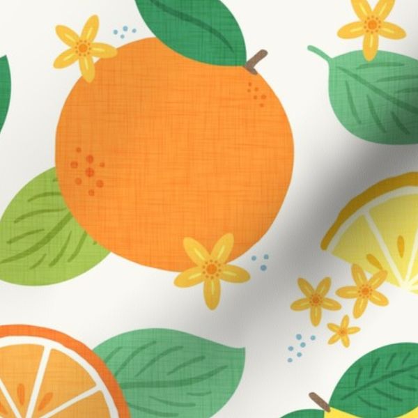Citrus Fruits - White Medium
