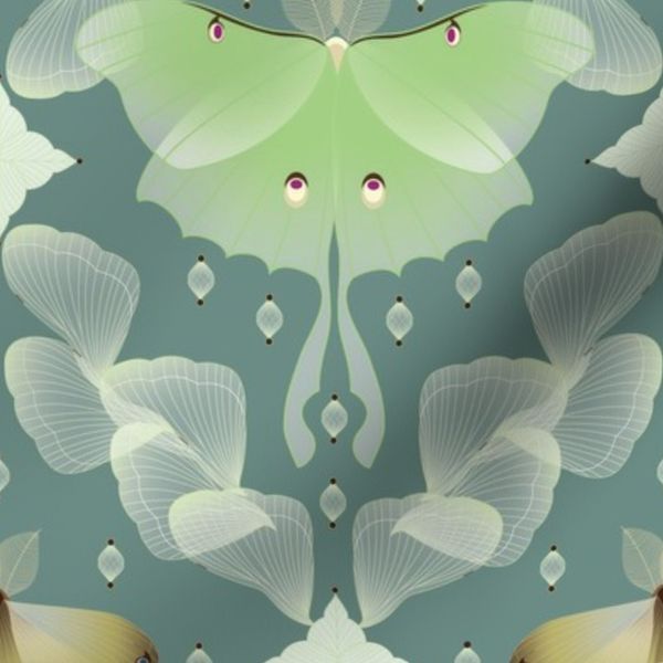 Moth Walls