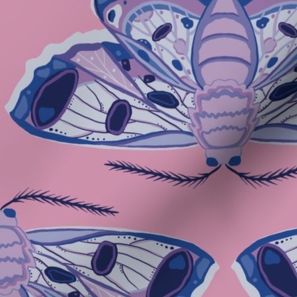 Australian Red-Lined Looper Moth in Pink and Lilac