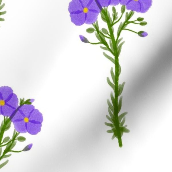 True blue pansy 3