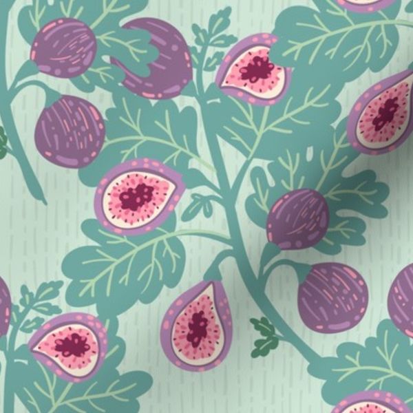 Blooming figs paradise garden violet fruits on green 12