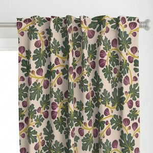 (L) Summer Fig Purple Green