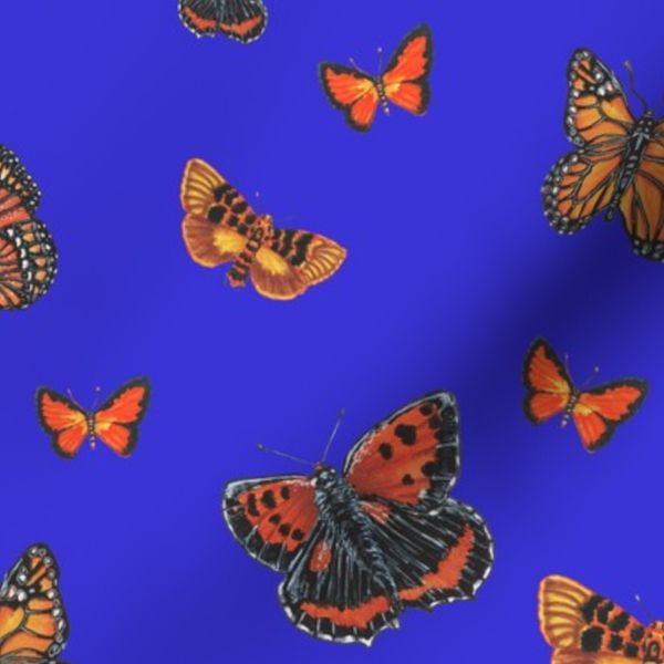 Dreamy Handpainted Butterfly Pattern Blue