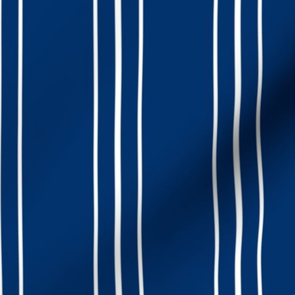 Sierra Blue and White Verticals