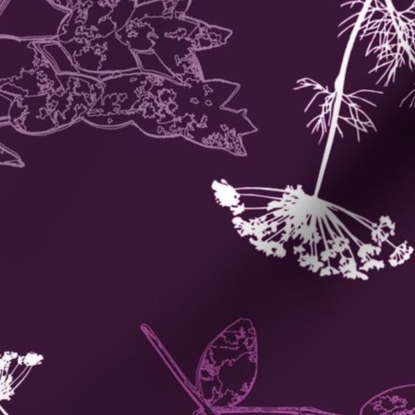 Cow Parsley Plum