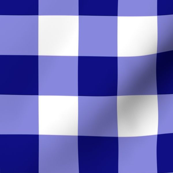 Naurtical Blue and White Gingham