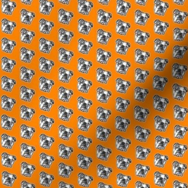 Bulldog orama MINI PRINT - Orange & Grey