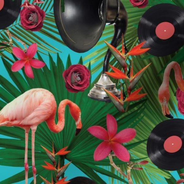 flamingos on teal