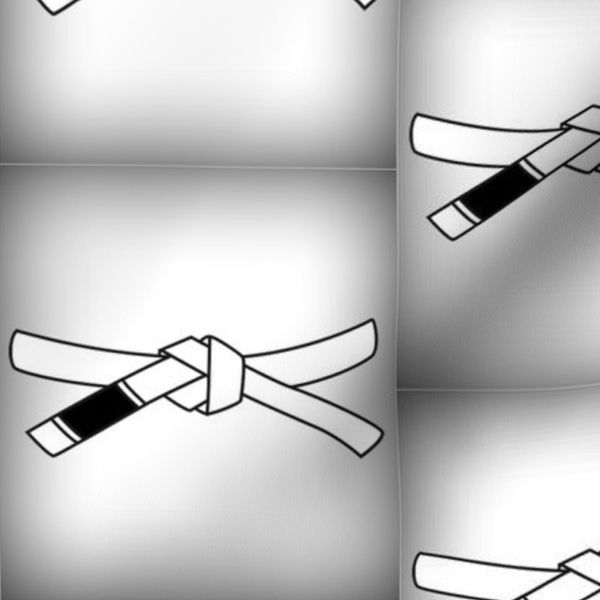 White belt BJJ