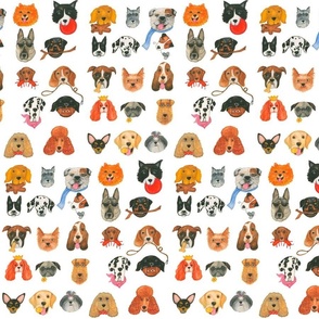 Dogs 25 Breeds