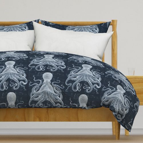 Octopus Vintage Scientific Illustration-Ernst Haeckel Style