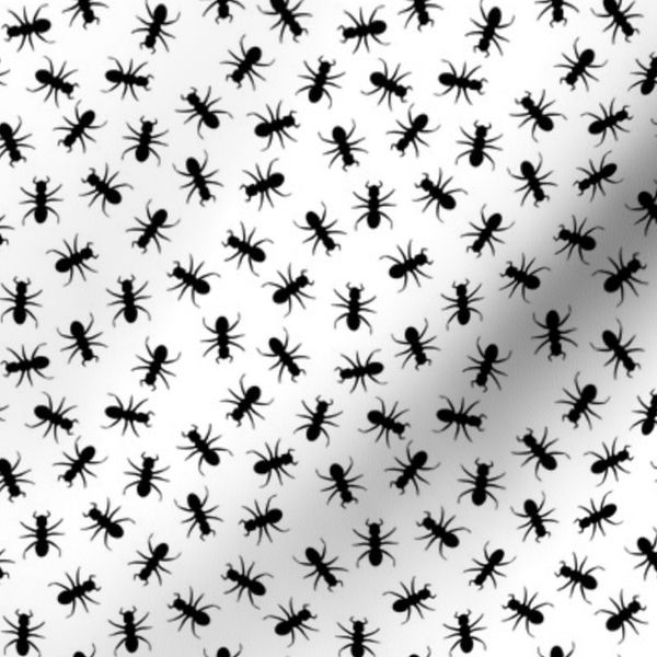 Ants Black and White