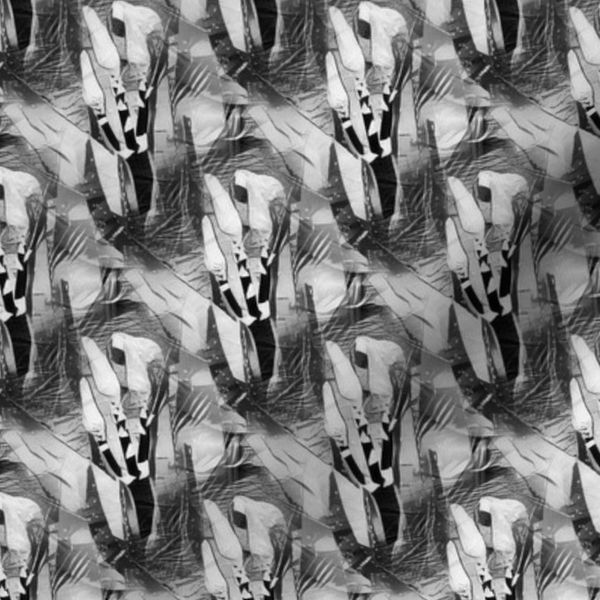 Floral Black And White