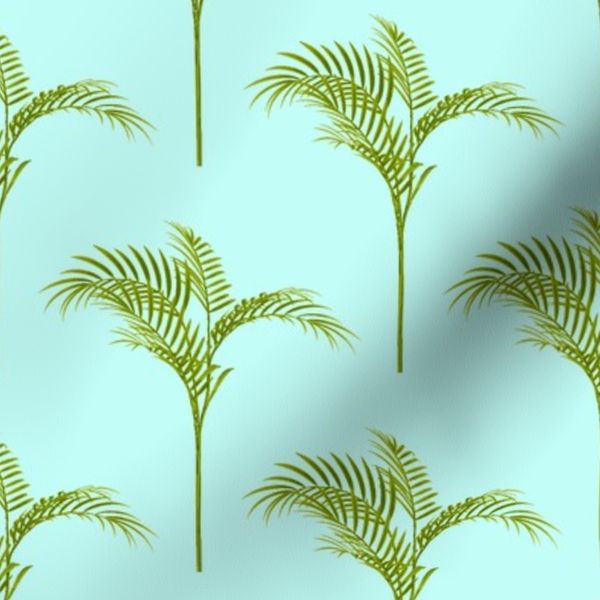 butterfly palm small