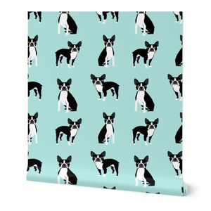 boston terriers mint cute dog best dog best light mint dog black and white