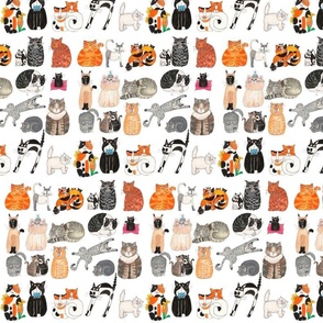 Cats and Kittens