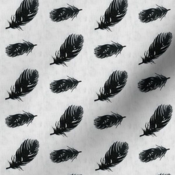 feathers in black and white