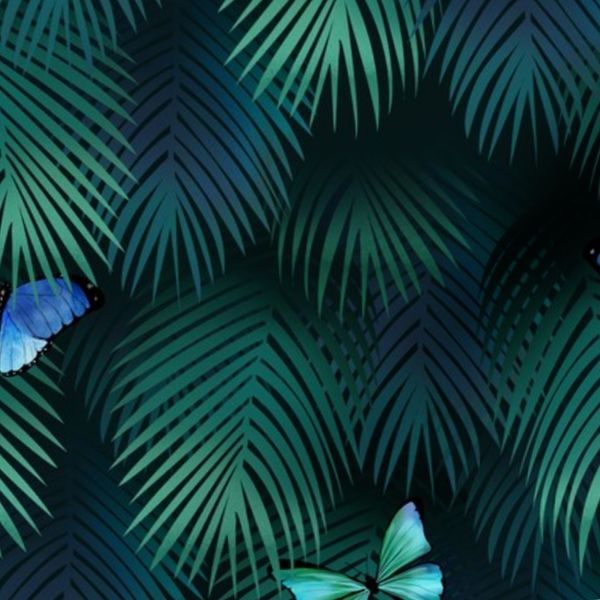 Emerald Jungle Butterflies