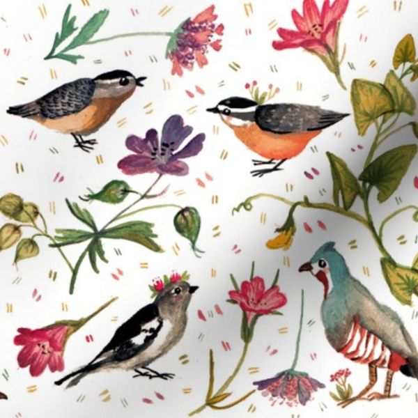 birds and wild flowers
