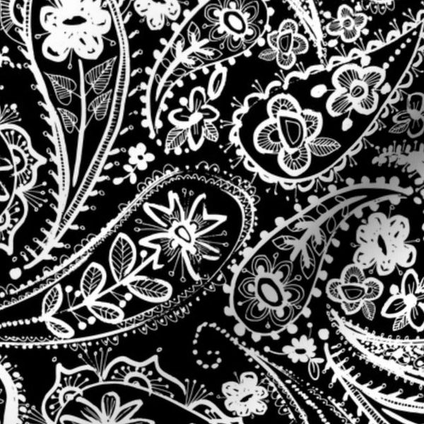 paisley linea 2