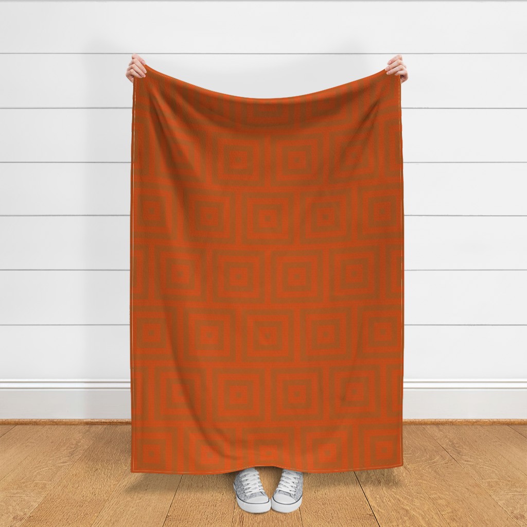 Throw blanket held up in front of a white shiplap wall