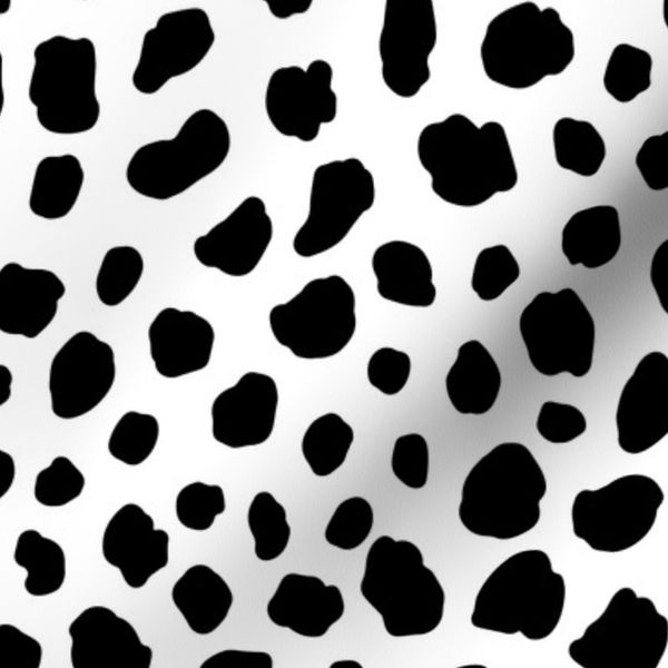 dalmatian