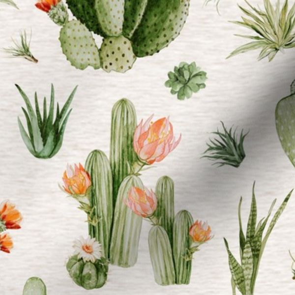 Large / Desert Cactus Blooms