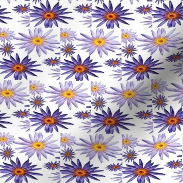 Lotus Flower SM